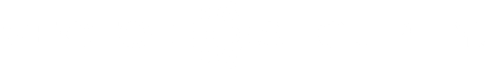 vector-security-logo__white